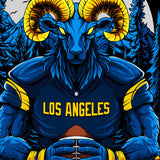 Los Angeles Football Shirt