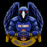 Baltimore Football Shirt