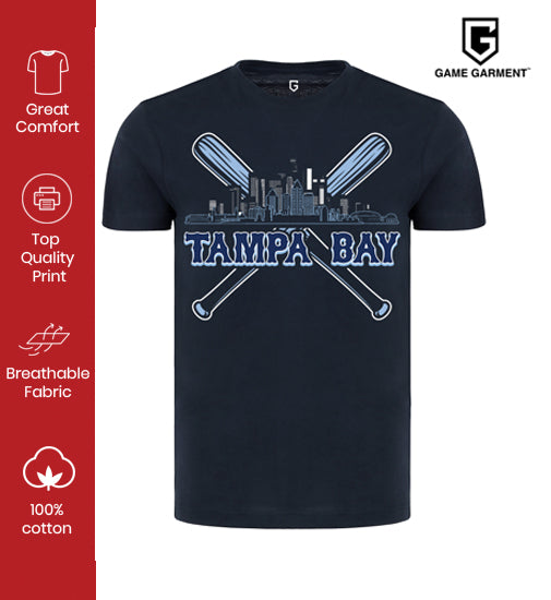 Tampa Bay Baseball Skyline